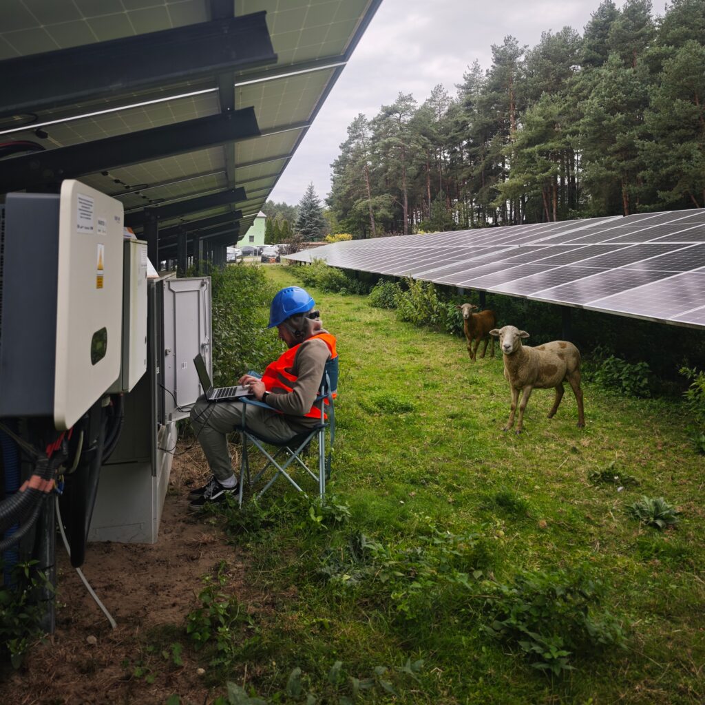 Inżynier przeprowadza testy NC RfG, bacznie obserwowany przez 2 kozy.